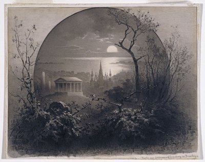View from Greenwood Cemetery, Brooklyn, 1881 by Rudolf Cronau